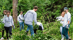 P站视频 students clearing brush for a service project.